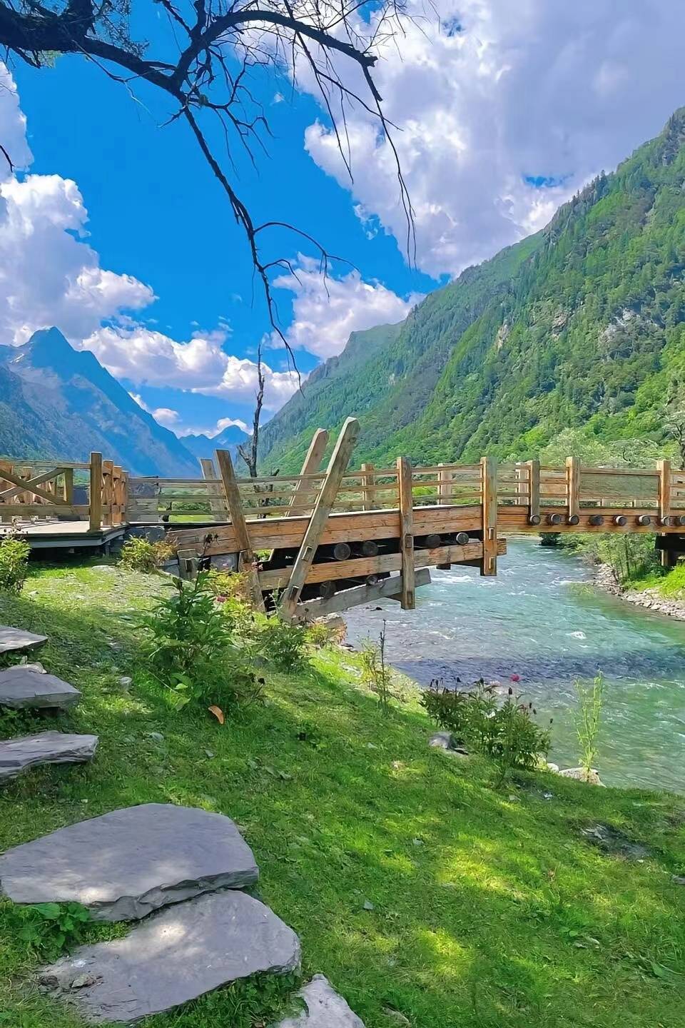 廈門至四川旅游報團價格全解析 團費多少？魅力旅行如何不踩坑？